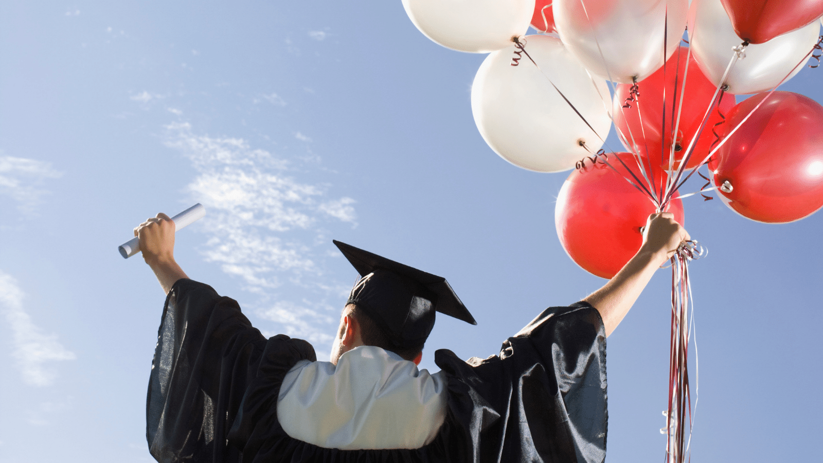 Understanding the Impact of Balloon Releases Sustainable Alternatives to Balloons HRSD
